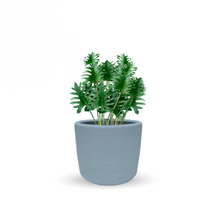 Cargar imagen en el visor de la galería, Xanadú (Grande)